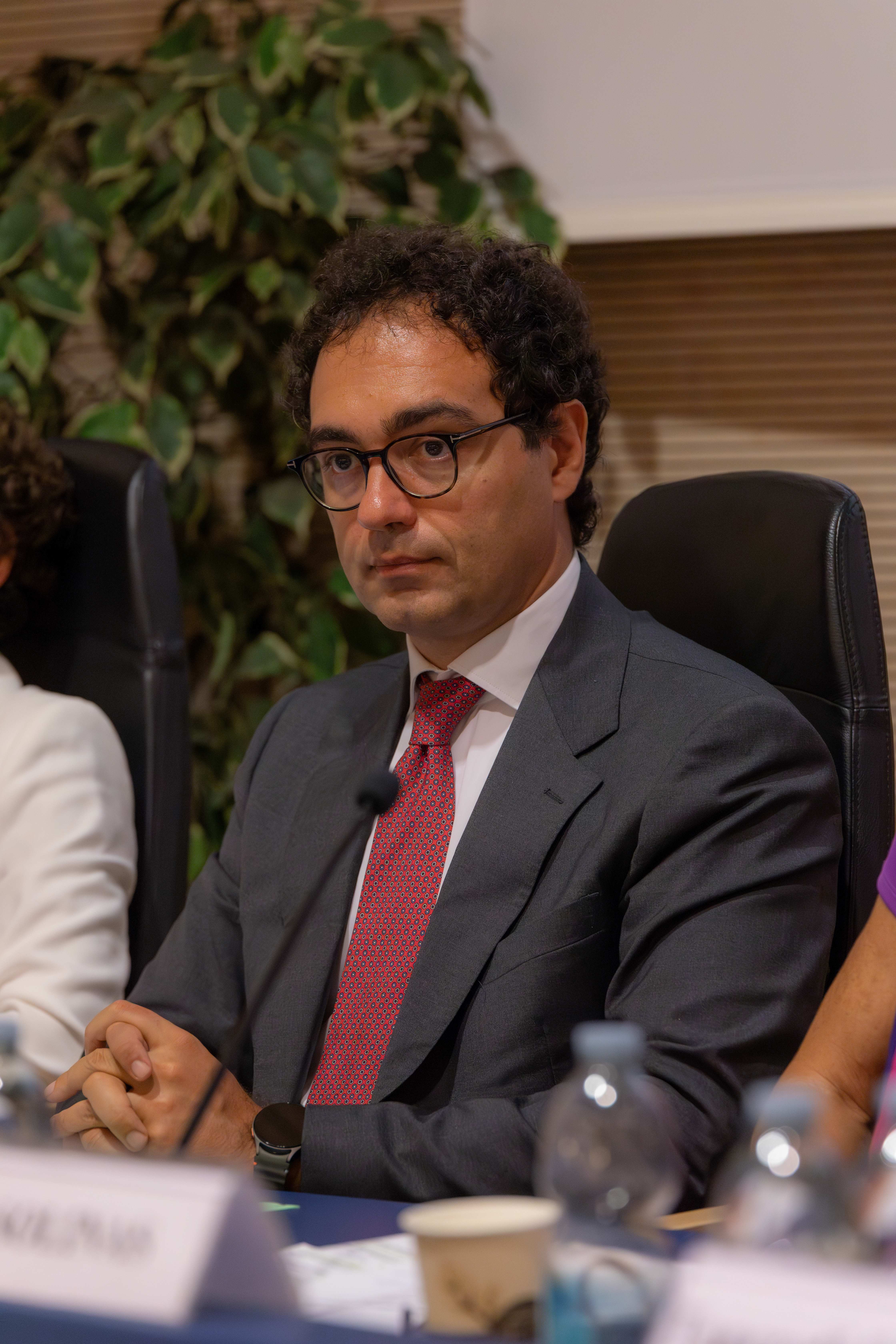 Luigi CASCONE [Vice Presidente]