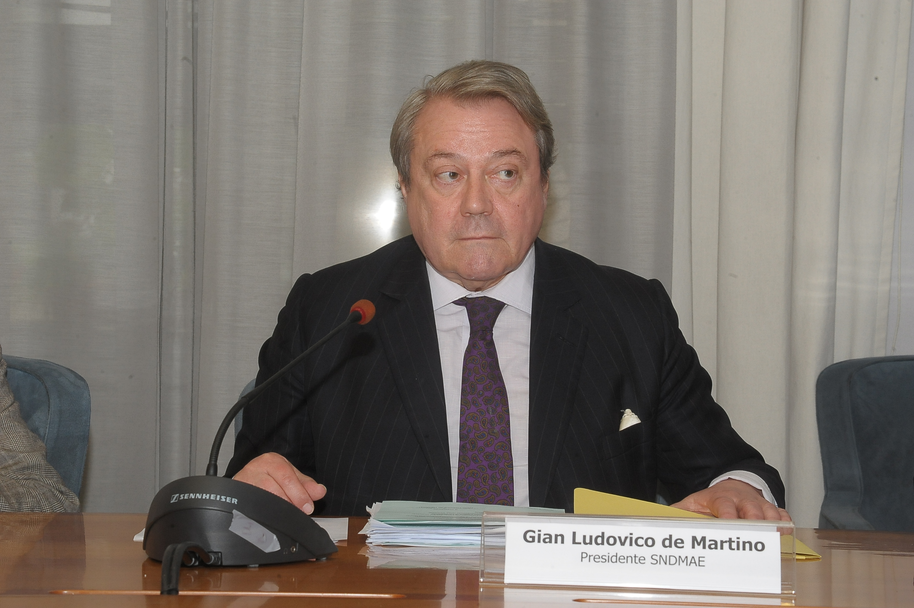 Gianludovico de Martino [Presidente]